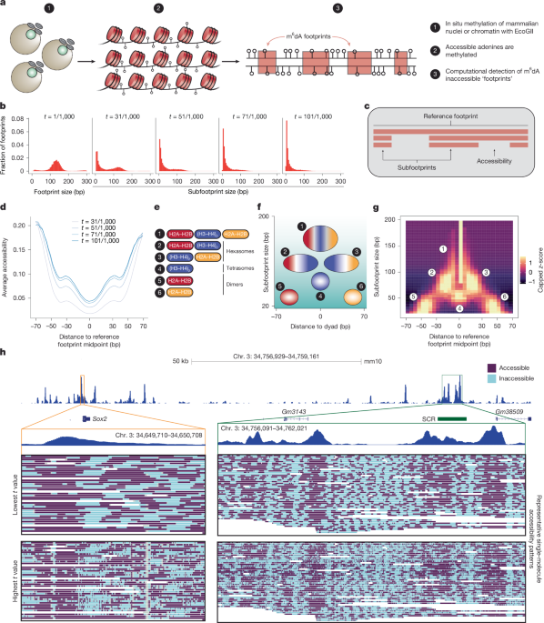 41586 2026 10418 Fig1 HTML png