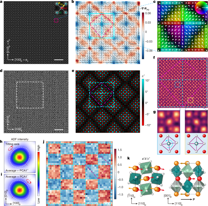 41586 2026 10470 Fig1 HTML png