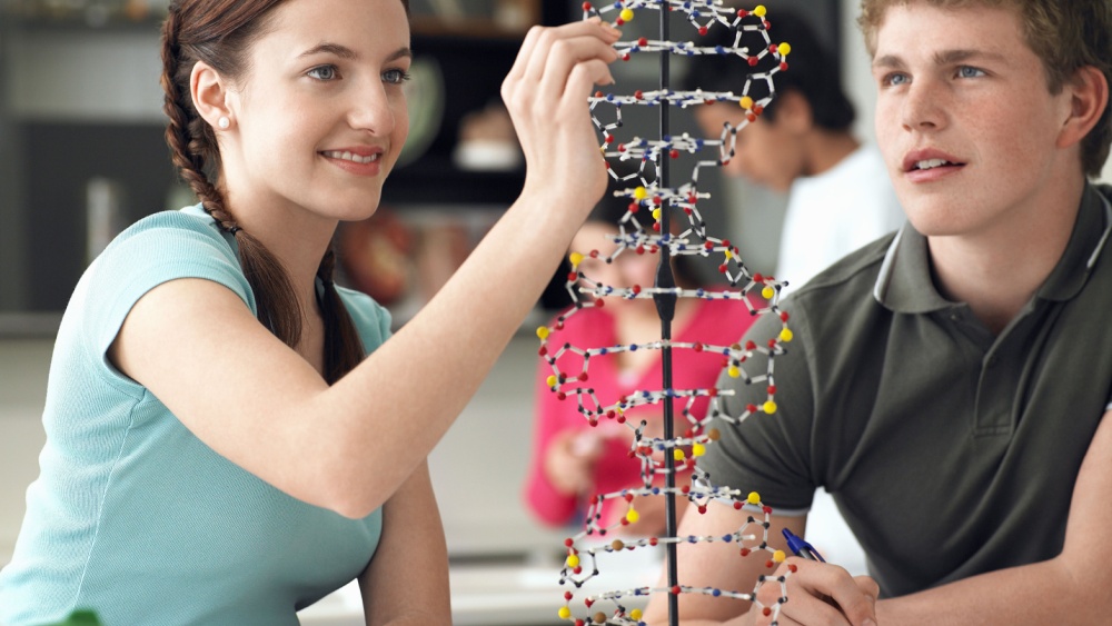 42d417a4dded3561ffd4d414bcb058fb708ad97e jpg