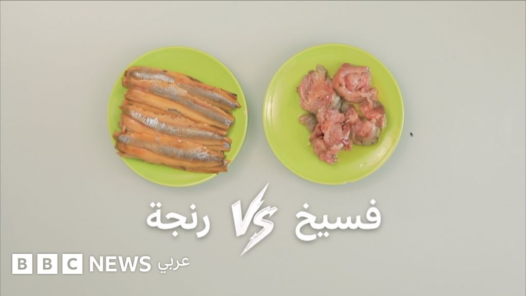 439a3b70 373d 11f1 9d5c 8ba507d7dbde jpg