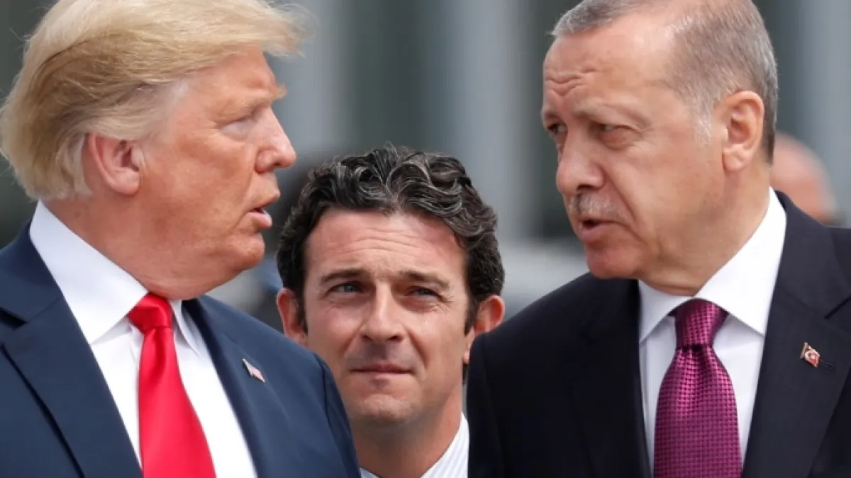 50e5f9ff c729 4d14 b427 1d64862185d7 jpeg