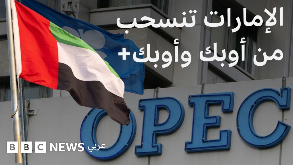 55b71ed0 43d7 11f1 bd52 e755d604ece4 jpg