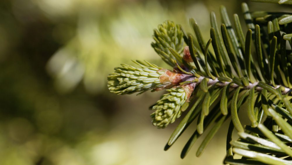 64d43d99e52a27bd6c48d49856d8662e673b0cd1 jpg