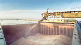 بيانات: صادرات القمح الروسي تصل إلى مستوى قياسي