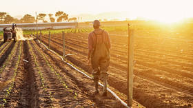 هل المزارعون البيض مضطهدون حقًا؟ ما وراء الخلاف بين الولايات المتحدة وجنوب أفريقيا