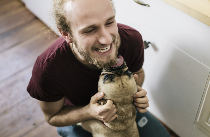 الكلاب والقدرة على تكوين انطباعات اجتماعية.. بين الحقيقة والاعتقاد