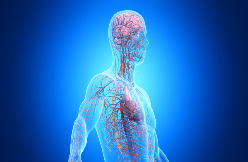 حقيقة صادمة.. كتب التشريح لا تحكي القصة كاملة عن أجسامنا