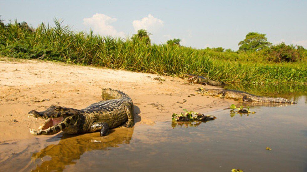 69ce93e942360463f14d98b9 jpg