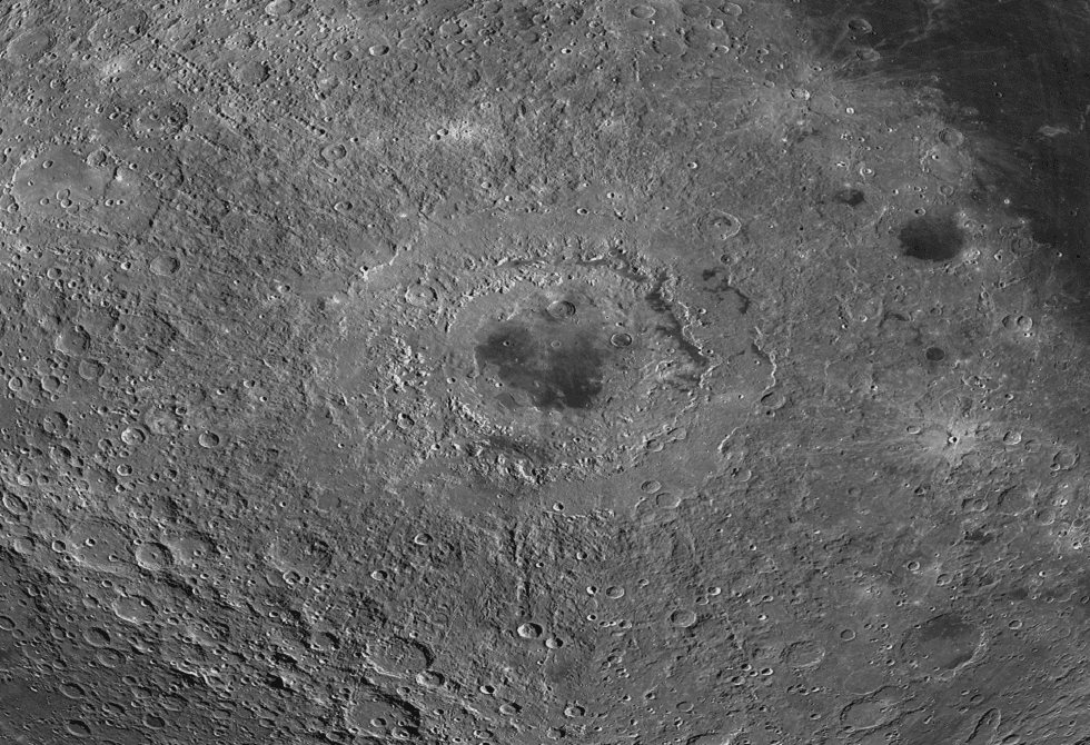 69d363804c59b73c512d8851 PNG