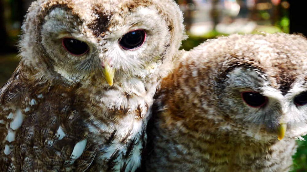 69dddbd94c59b74cce40e48c jpg