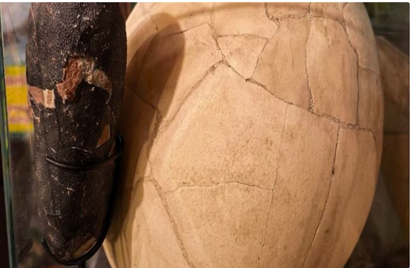 69de145d42360425007f4427 png