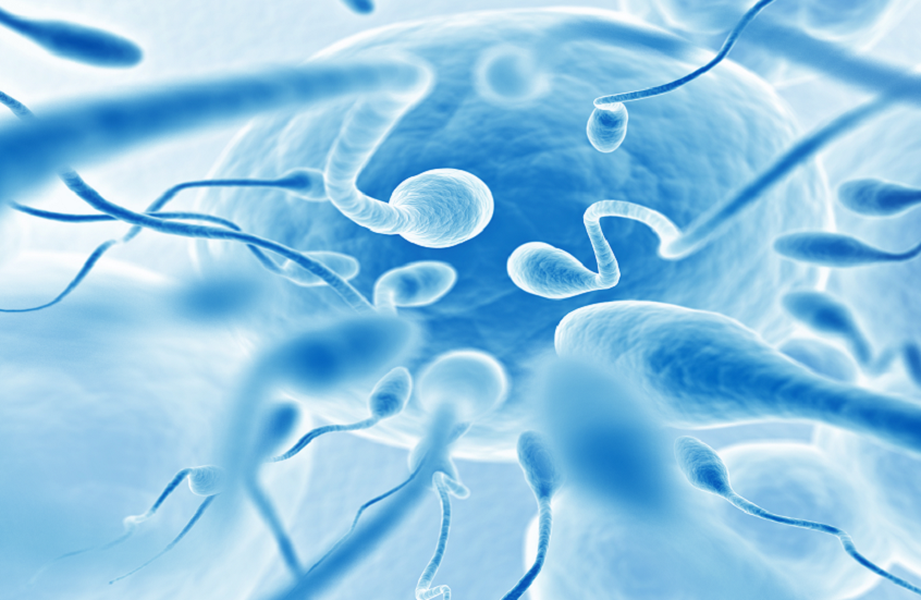دراسة تكشف نمطا موسميا لجودة الحيوانات المنوية