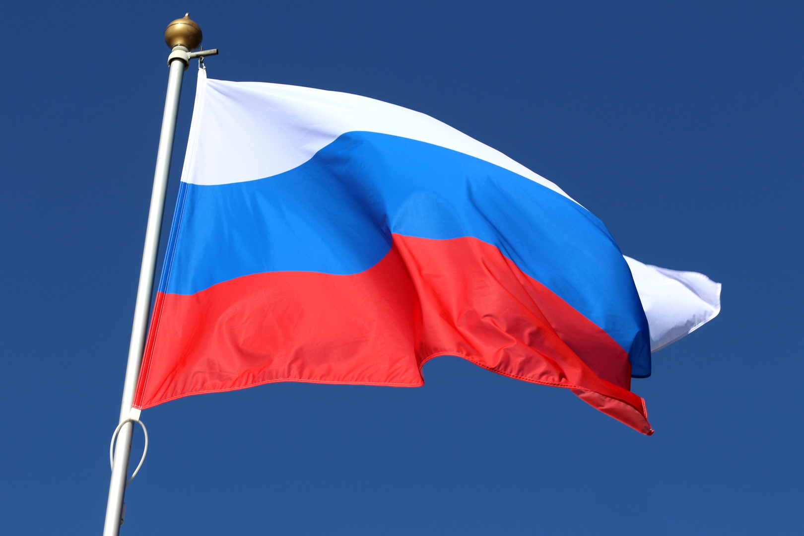 69e09e554236041a5b401868 jpg