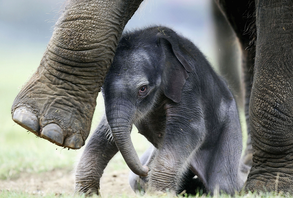 69e1f4cd4c59b76c6d11d88d png