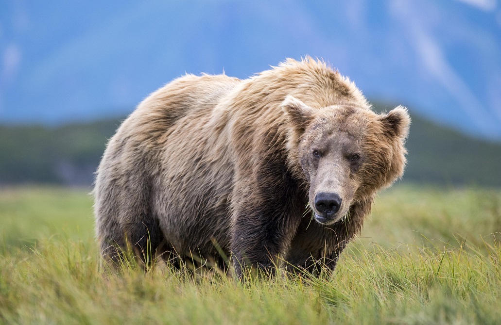 69e307f24c59b76c957d605a jpg