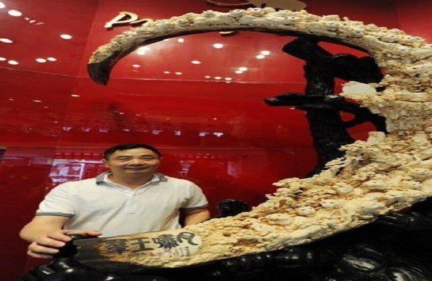 روسيا.. مهرجان 