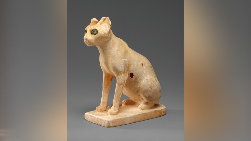 69e6102785f540779f1ce6ad jpg