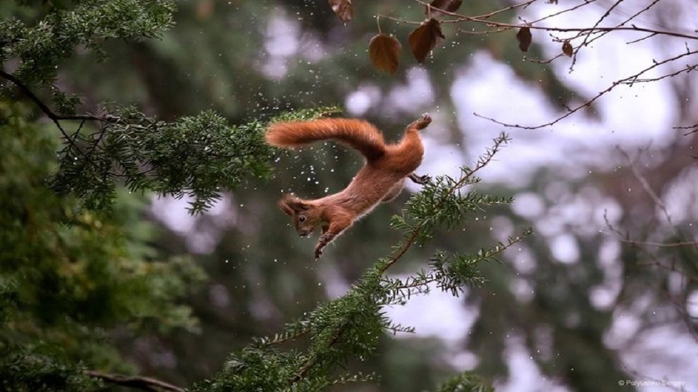 69e9bba94236043d5978d496 jpg