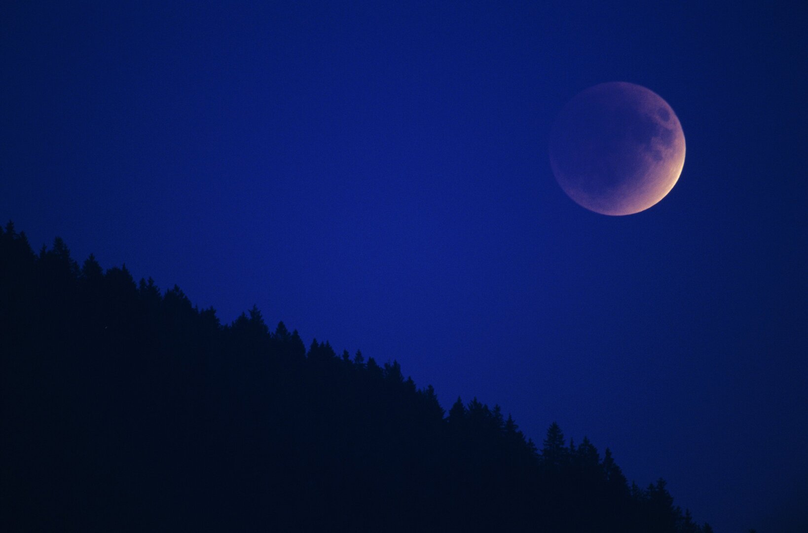 69ef434e4c59b760c566a455 jpg