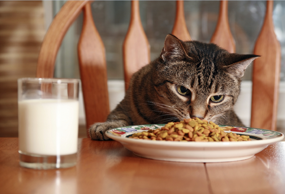 69f0b18042360403fd5a8d2d PNG