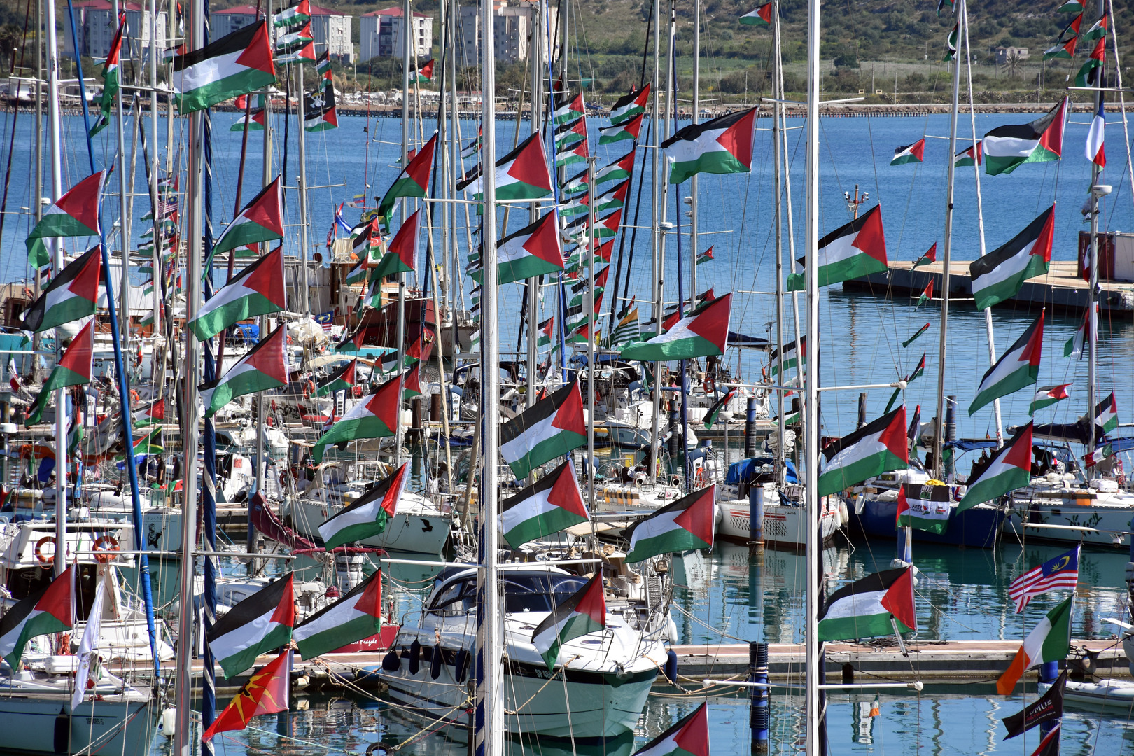 69f26086423604733b096242 jpg