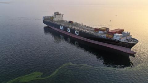 7ff88a80 4067 11f1 b55d 0f258dce1735 jpg