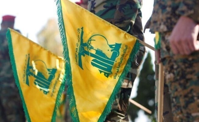 8204711 1776522652 jpg