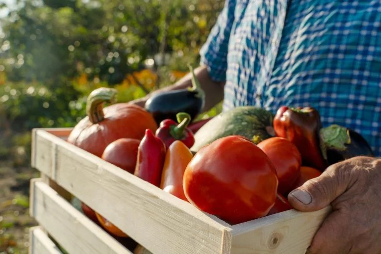 Farmer Box of Fruits Vegetables 777  215 518 jpg