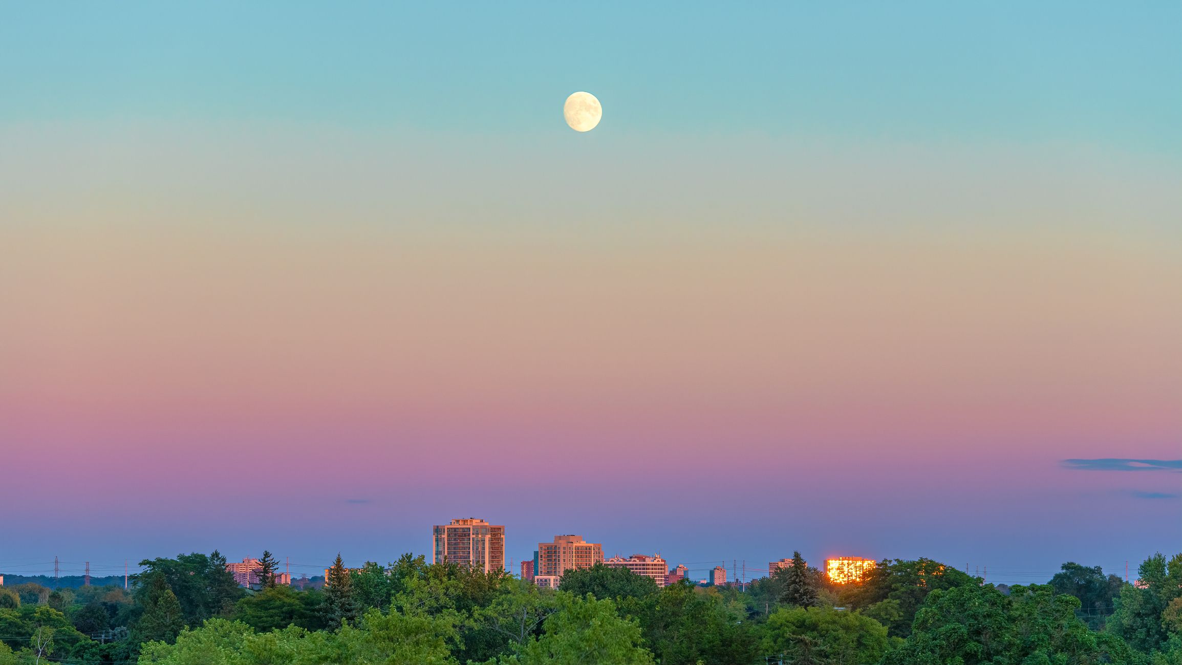 GMX2wzV9RJ9dnsZkFVdpzH 2309 80 jpg