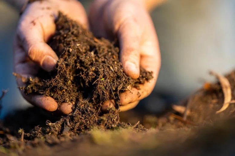 Hands Holding Dirt Farmer Collecting Soil Samples 777  215 518 jpg