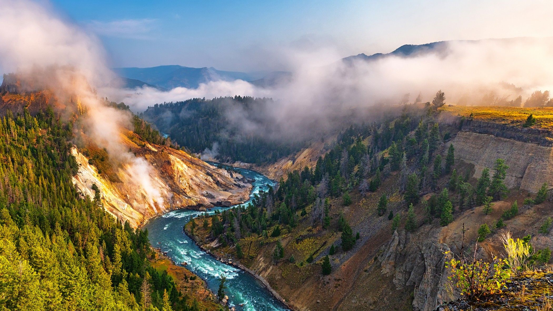 HpM2Af5ZEBphXfVJonbybU 2101 80 jpg