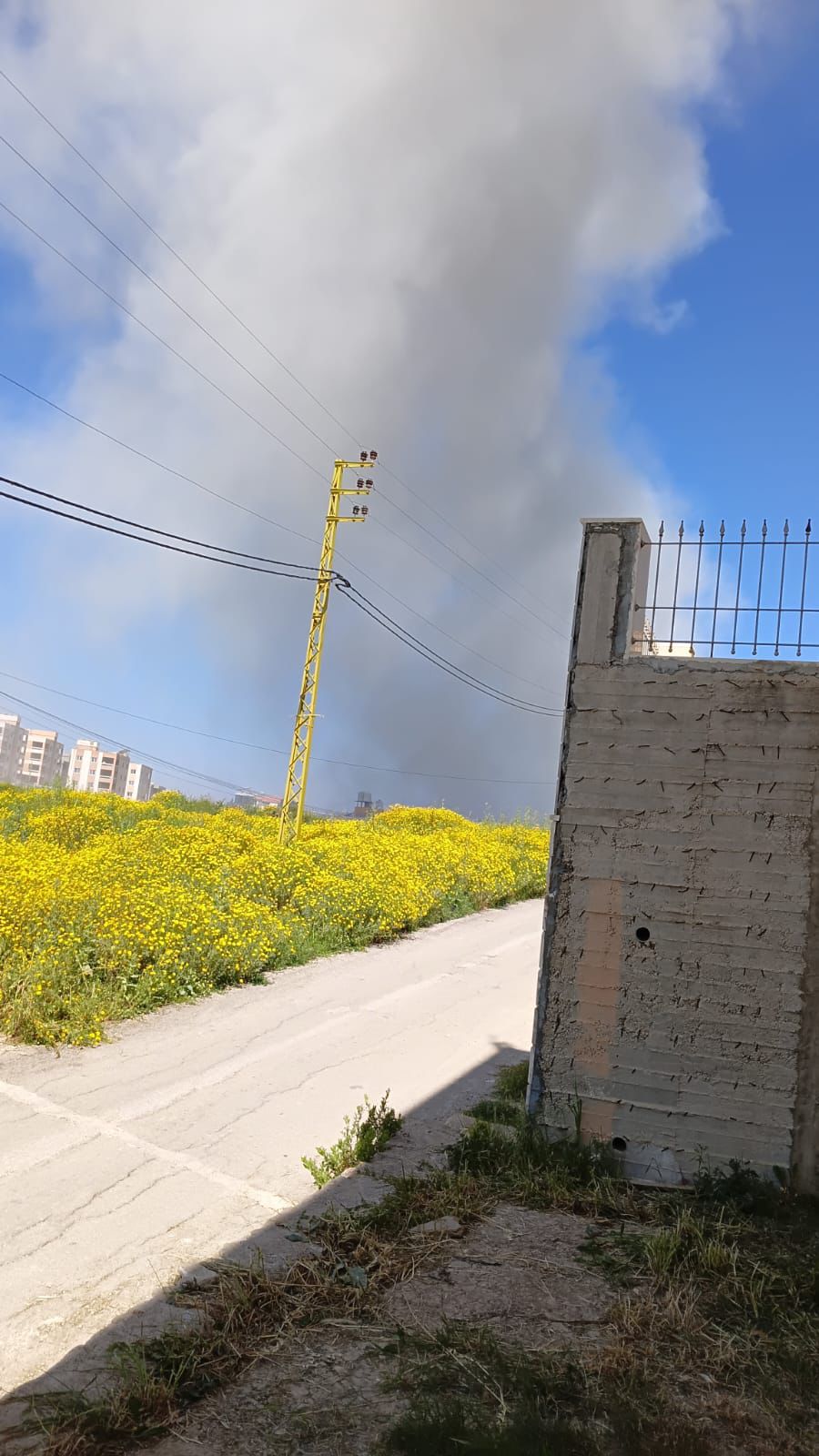 IMG 20260430 WA0044 jpg