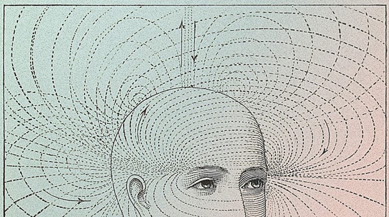 Illustration of Head With Directional Field Lines 777  215 433 jpg