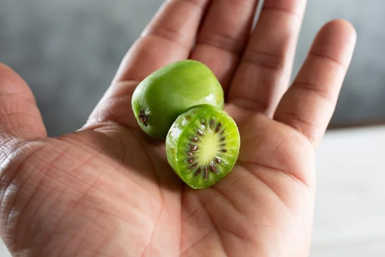 Kiwi