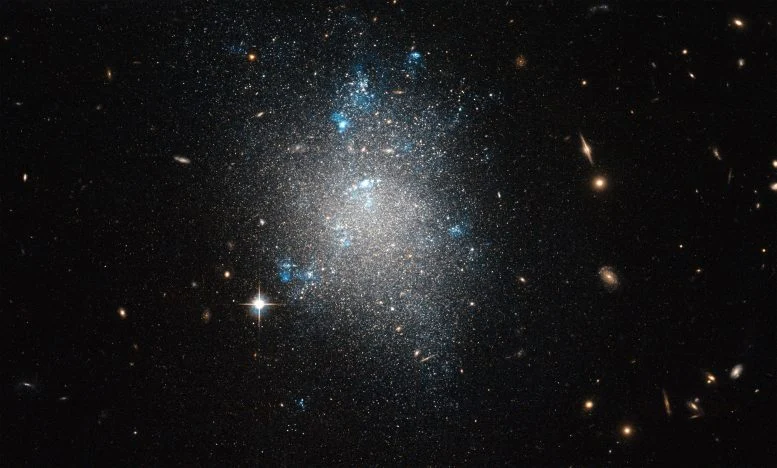 NGC 5477 Dwarf Galaxy 777  215 468 jpg