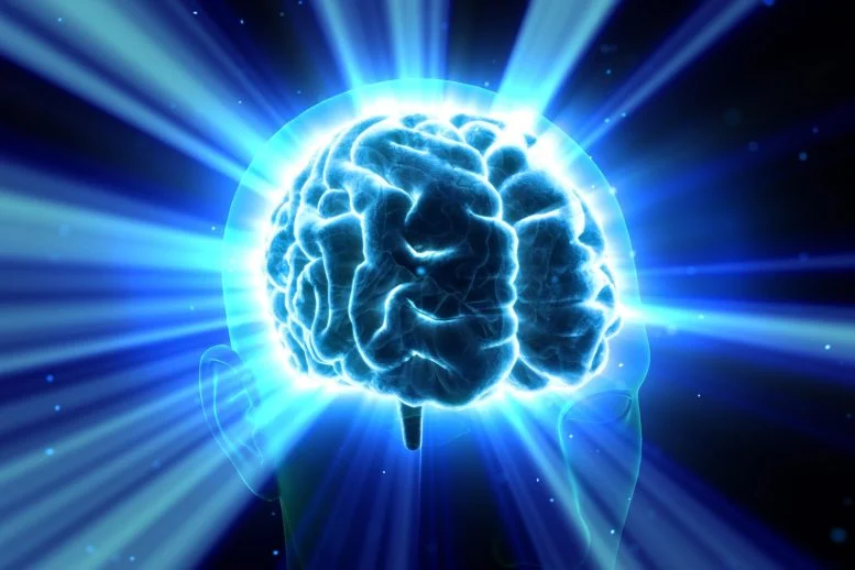 Neuroscience Brain Head Human Mental Idea Mind Boost 777  215 518 jpg