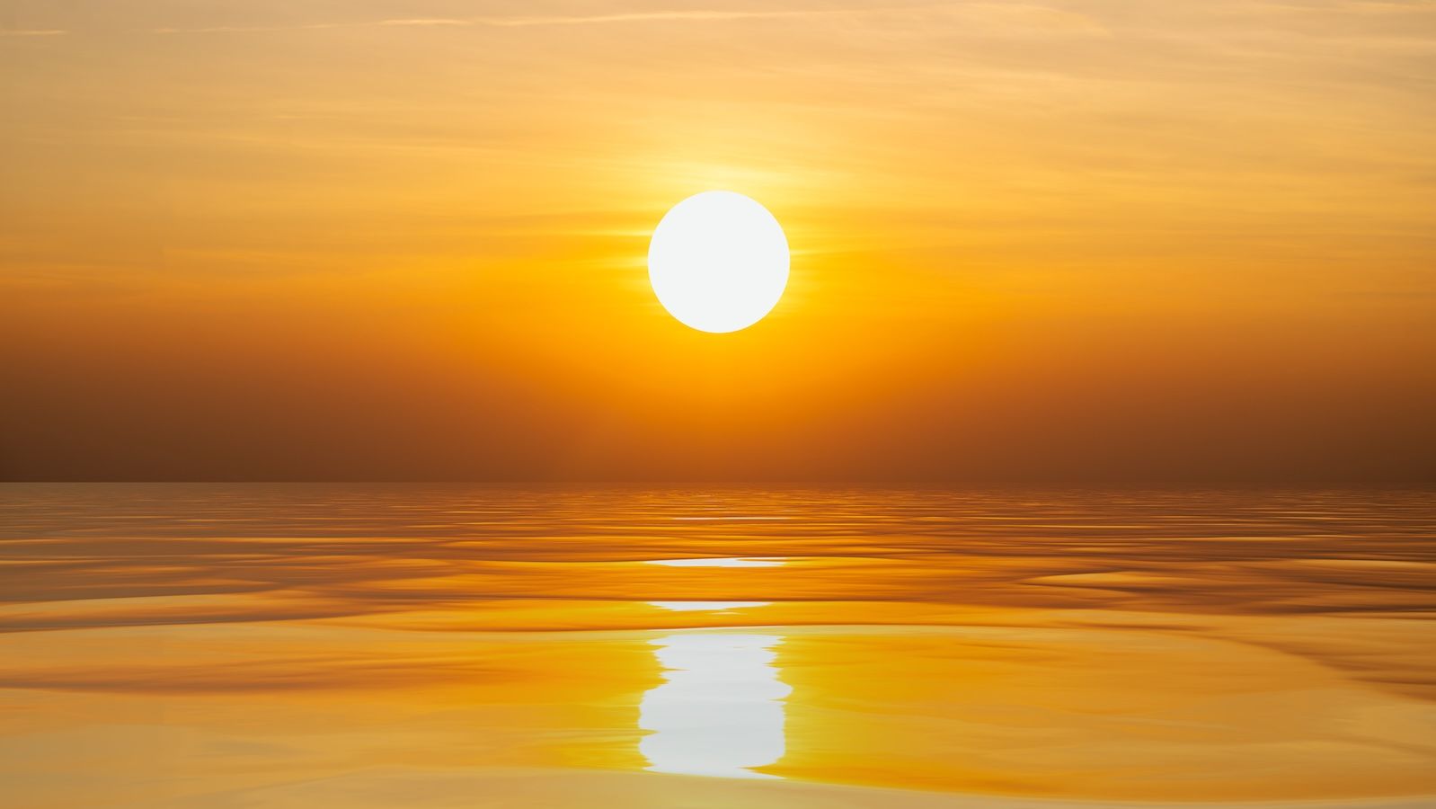 Qt8DyRm98omf5Z2aVr4Xq5 1598 80 jpg