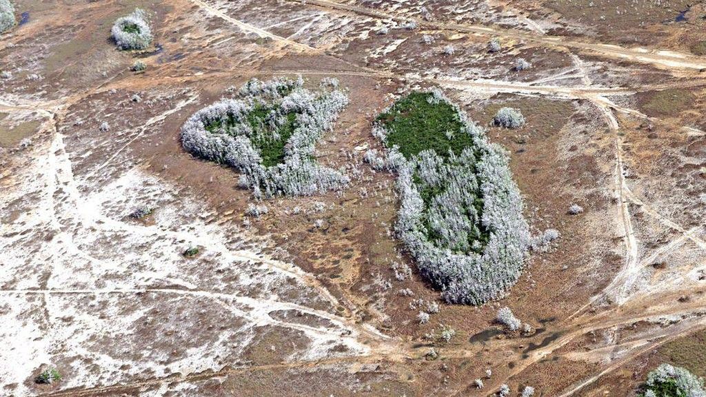 RRhm5qLPWdqTGorj3rLTP4 1024 80 jpg