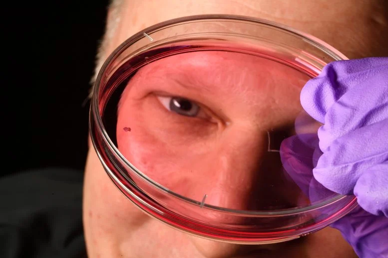 Robert J  Johnston Jr  Holds Petri Dish 777  215 518 jpg