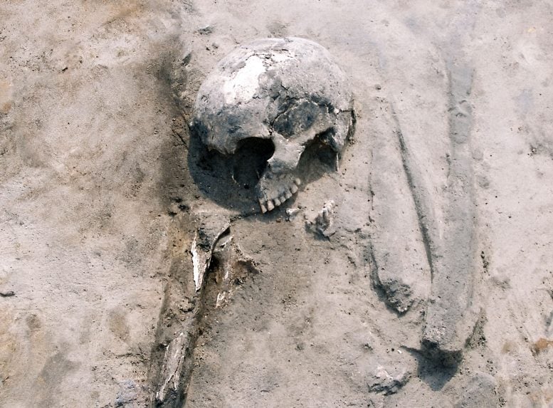 Skeleton of a Bronze Age Woman Discovered at Karczyn Witowy 777  215 573 jpg