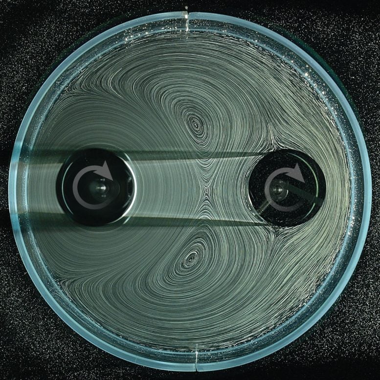 Two Spinners Driving Fluid Flow Visualization 777  215 777 jpg