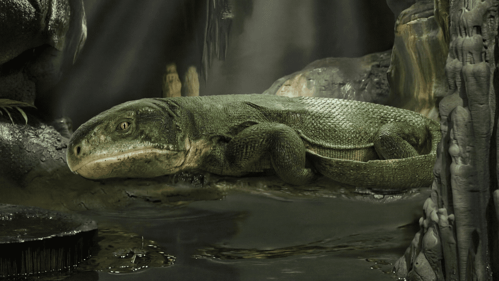 abb9be4665da96de371abde0e4dae289e5379892 png