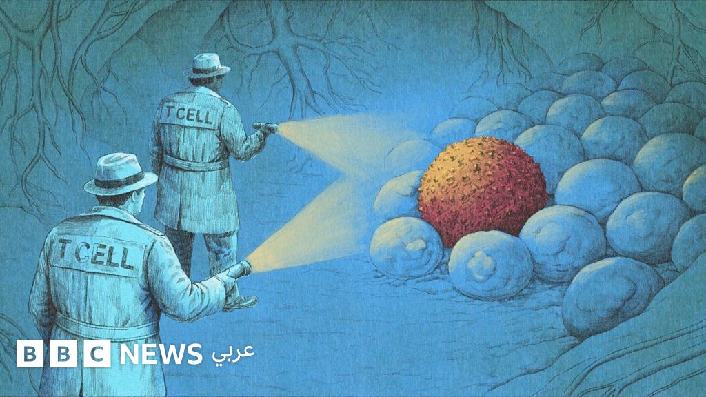 b37e13a0 381c 11f1 8606 05fe34b06e1b jpg