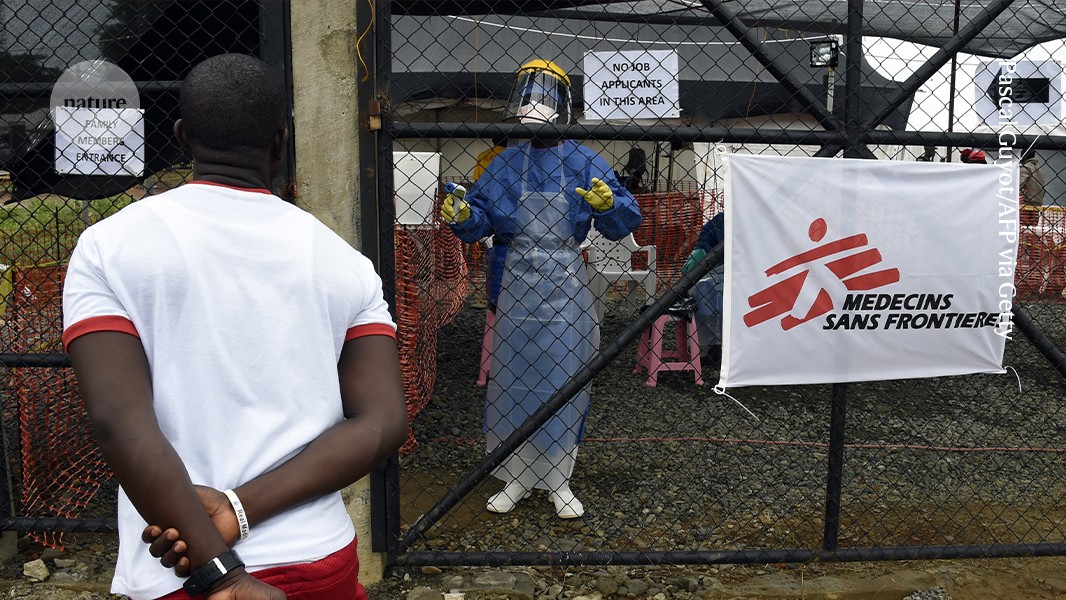 d41586 026 00197 5 52258078 jpg