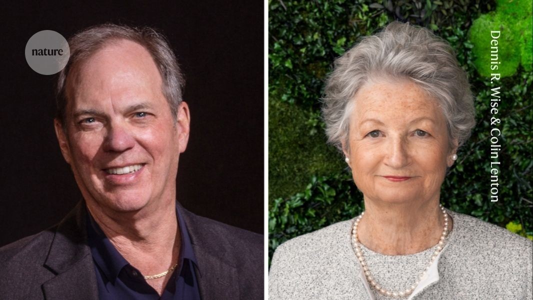 d41586 026 01014 9 52296432 jpg