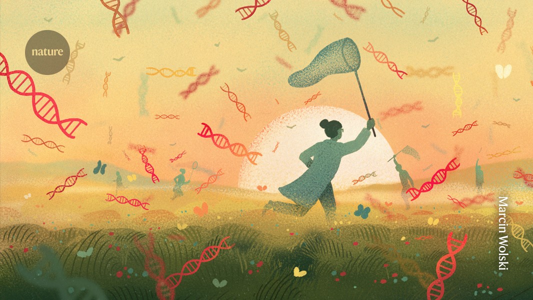 d41586 026 01099 2 52265640 jpg