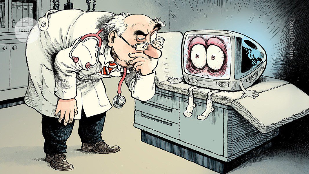 d41586 026 01100 y 52248794 jpg