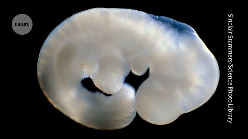 D41586 026 01120 8 52265006 Jpg