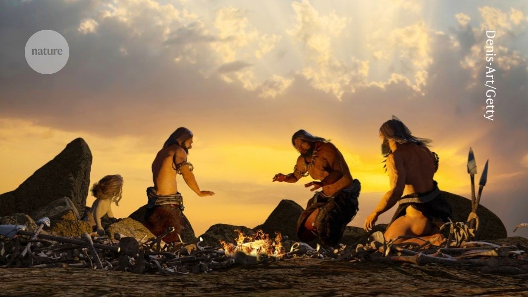 d41586 026 01204 5 52289742 jpg