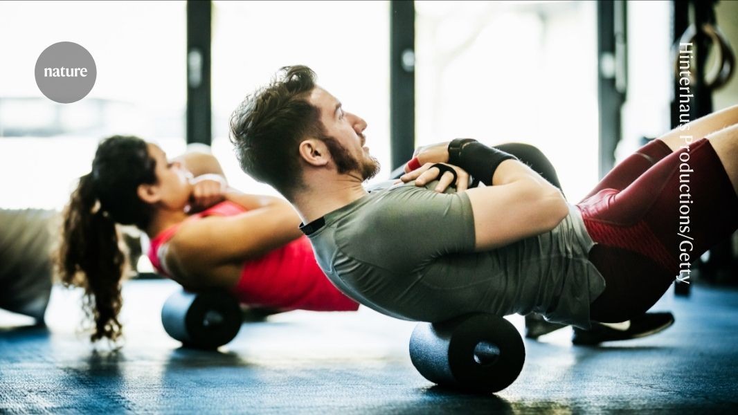 d41586 026 01245 w 52296580 jpg